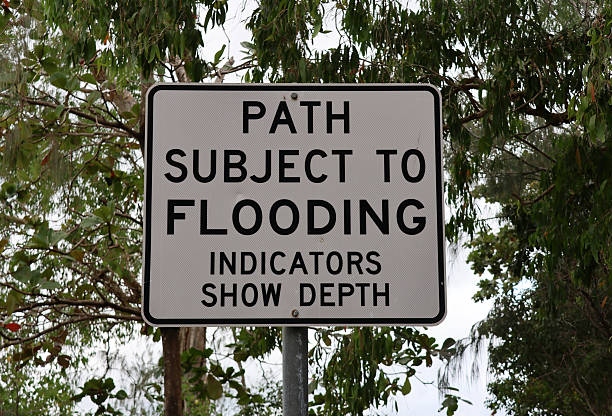 Path Subject To Flooding sign close-up with a tree in the background
