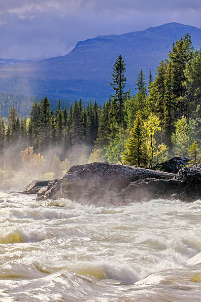 White water river in a forest landscape at autumn