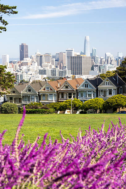istock Pastel-colored the Painted Ladies in San Francisco 2235159773