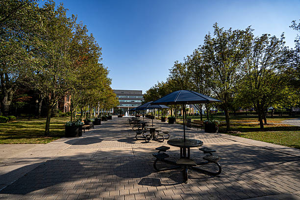 istock View of Windsor City Hall Square Park. 2235162187