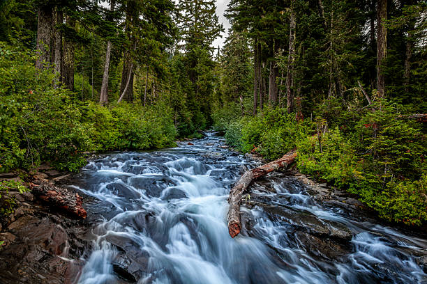istock Kenai peninsula river on Alaska 2235162458