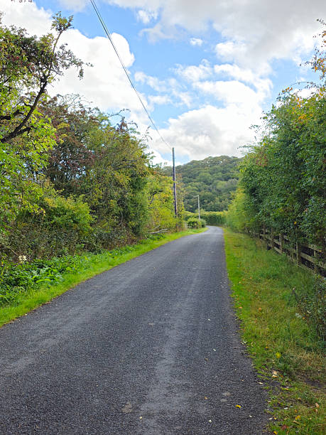 istock Straight Asphalt Road in Rural Countryside with Trees, Hedges and Powerlines 2235166316