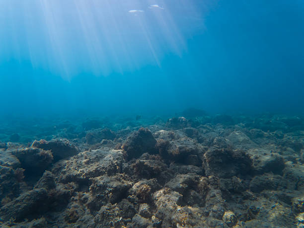 istock Beautiful sun rays stream through the deep blue ocean, illuminating the rocky seabed in this serene and quiet underwater background. 2235167108