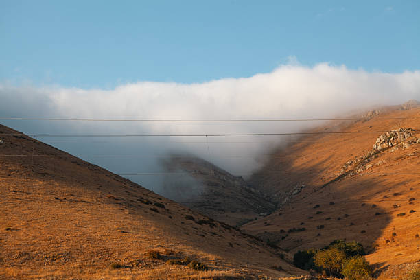 autumn mountain with a tree in the background