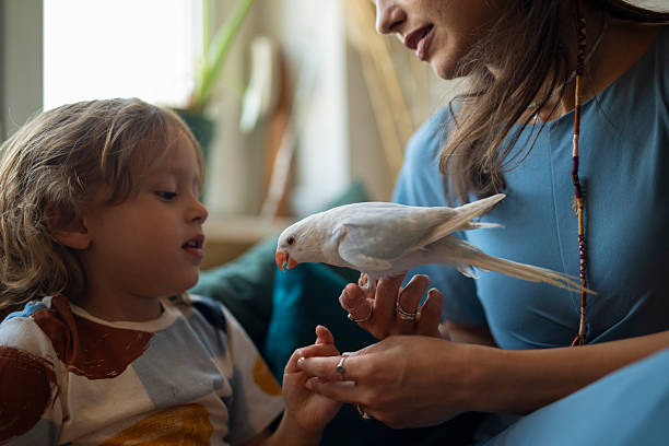 istock Mother and child bonding with a parrot indoors 2235184054