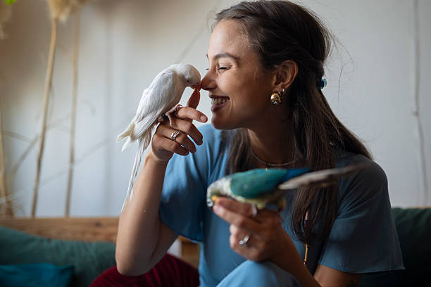 istock Smiling woman bonding with parrots indoors 2235184616