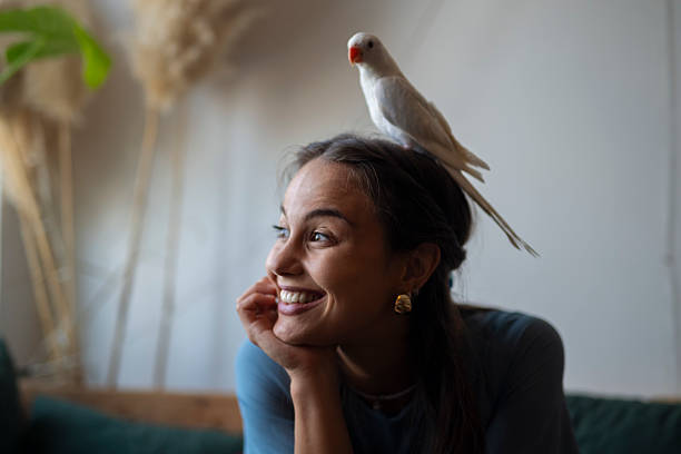 istock Smiling woman with parrot on her head indoors 2235184715