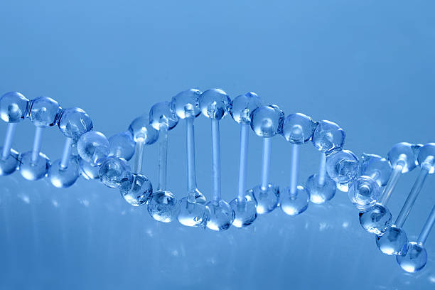 istock DNA Structure. Abstract cosmetic laboratory. Chemical laboratory research. Cosmetic Essence. 2235197309