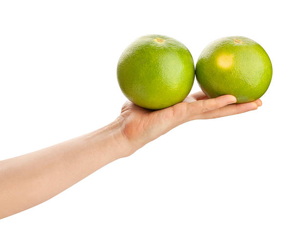 istock sweetie in hand 2235197654