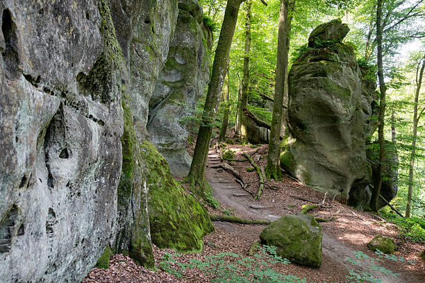istock Mullerthal during autumn season, Luxembourg 2235201419