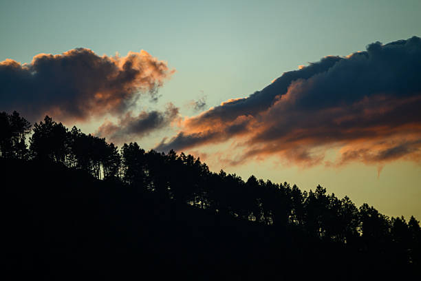 A beautiful and moody sky with clouds at dusk over a forest.