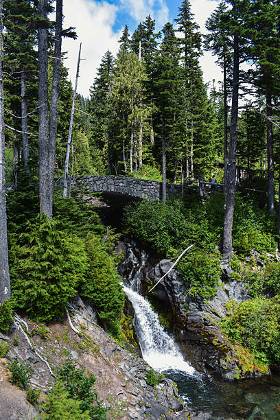 istock Christine Falls, Mount Rainier National Park, Washington State 2235204158