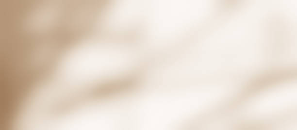istock Brown shadow of leaves tree plant bokeh overlay on white wall. Sunlight effect shadow on the wall. 2235207842