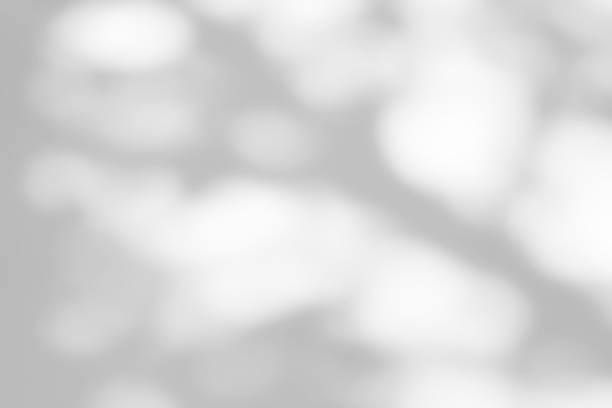 istock Shadow of leaves tree plant overlay on white wall. Sunlight effect shadow on the wall. 2235207846