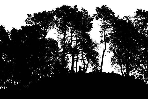 Stark silhouetted trees crowning hilltop ridge, casting dramatic shadow shapes against luminous pale sky backdrop