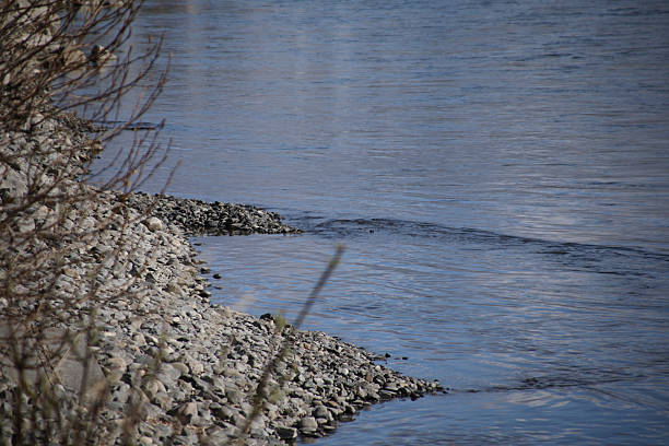 Ripples near the rocky shoreline