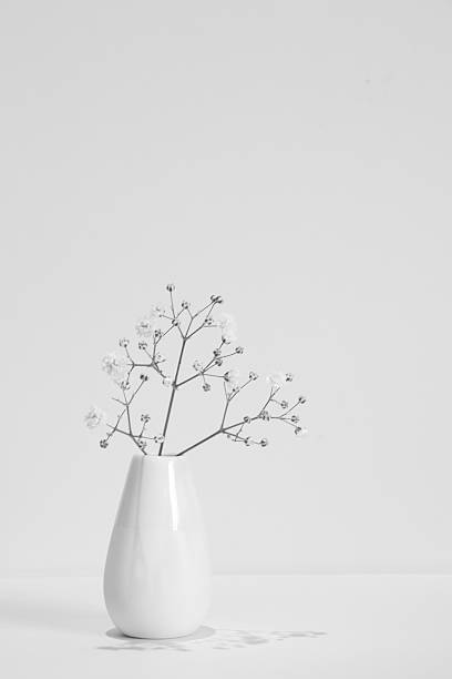 White vase and flowers on white background with copy space