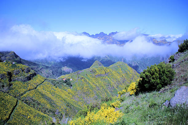 istock Mountains of Madeira 2235220462