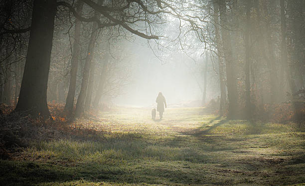 istock Morning Walk in Holme Fen, England 2235224823