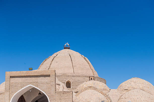 istock The city of Bukhara 2235227242