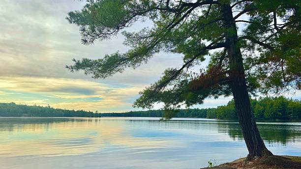 istock Muskoka Ontario 2235230152