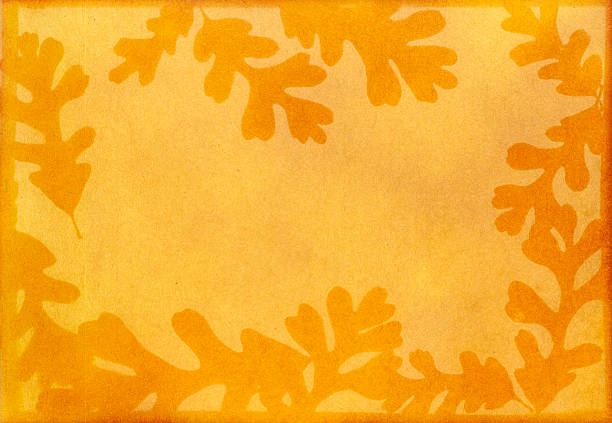 Turmeric anthotype of valley oak (Quercus lobata) leaves as a border resulting in autumn colors.