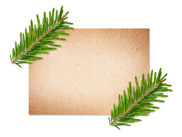 istock Christmas Fir Branches with Blank Paper Card Mockup 2235235205