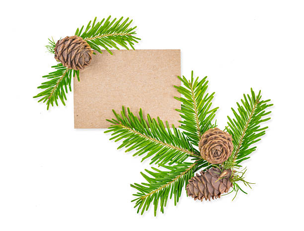istock Christmas Card with Fir Branches and Pine Cones on White Background 2235235657