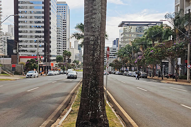 istock Londrina city 2235242029