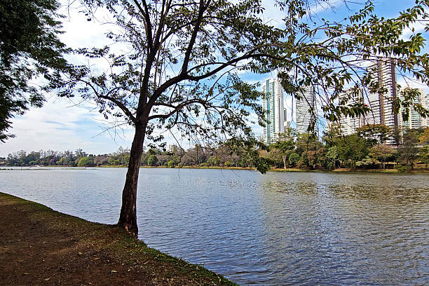 istock Igapo Lake in Londrina 2235242997