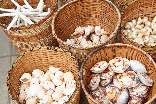 Multicolored shells, dried starfish and handmade souvenirs in wicker baskets at a street souvenir market. Concept: street trading, urban space, tourism