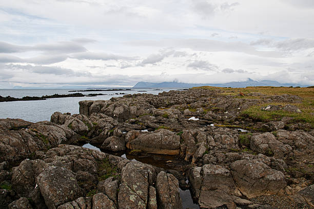 istock Scenic coastal landscape with rocks and grass under a cloudy Icelandic sky 2235250425
