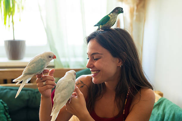 istock Young happy woman playing with her three pet parakeets 2235255311
