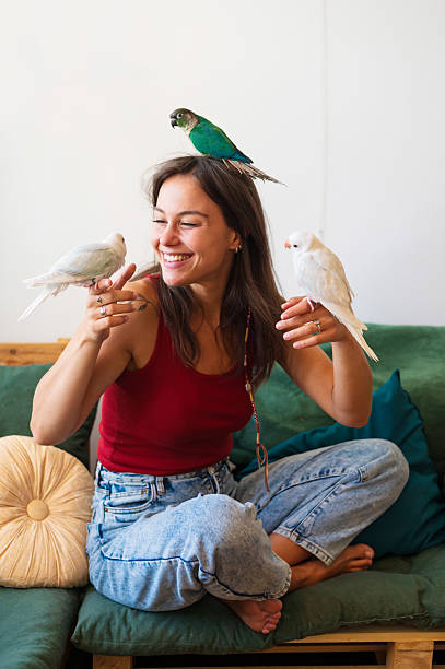 istock Young happy woman playing with her three pet parakeets 2235255371