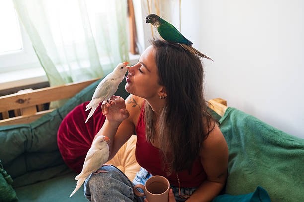 istock Young happy woman playing with her three pet parakeets 2235256187