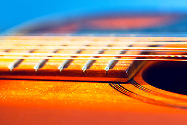 Burning bonfire in nature, spending time with musical instrument outdoors concepts