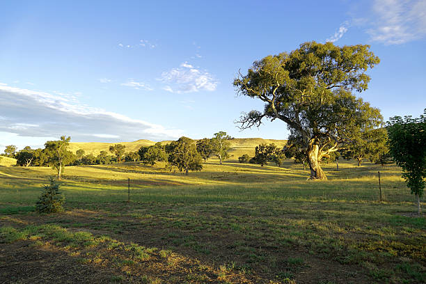 istock Mansfield,  High Country ,Victoria, Australia 2235268079