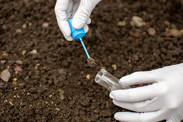 istock Researcher collecting soil sample in a test tube 2235272337