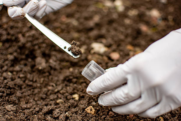 istock Researcher collecting soil sample in a test tube 2235272347