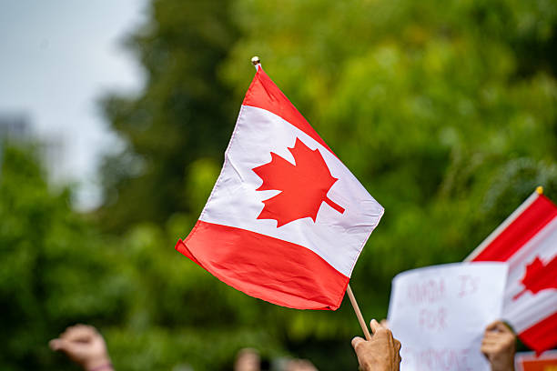 istock View of protester holding Canada flag at rally. 2235272507