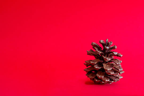 istock Natural pine cone on red background, minimalist eco greeting card for zero waste winter holidays 2235275457