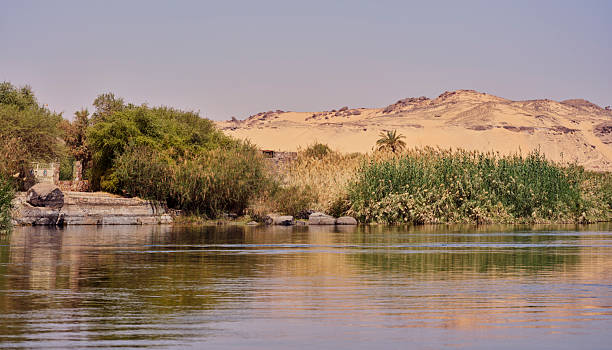 istock Peaceful Egyptian Landscape Featuring the Nile River with Sandy Hills and Palm Trees 2235276082