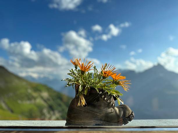 Hiking shoes, window, mountain view, alps