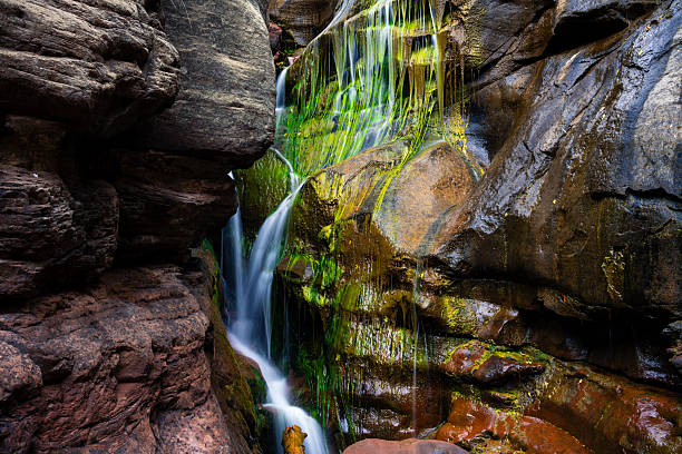 Gully with waterfall and green moss captured during a long exposure. Scenic nature background landscape.