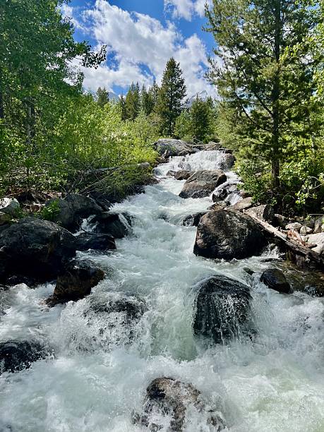 istock there is a stream running through a forest filled with rocks 2235292881