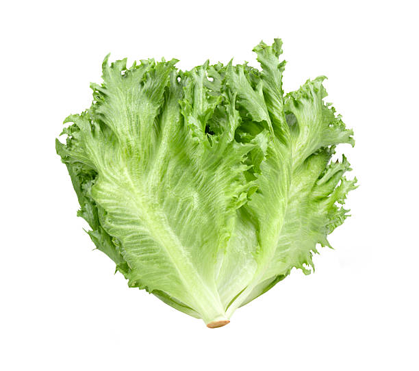 istock fresh Frillice Iceberg Lettuce on white background 2235295798