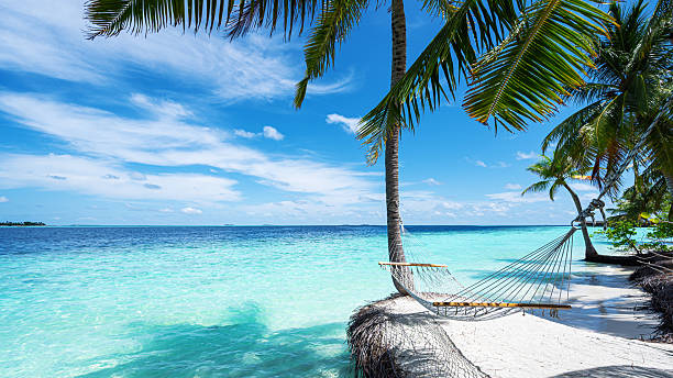 istock Hammock hanging between two coconut palm trees on the tropical paradise beach by beautiful turquoise sea 2235295881