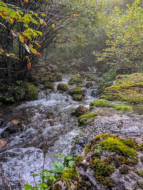 istock Mountain river and waterfall in the forest 2235304125
