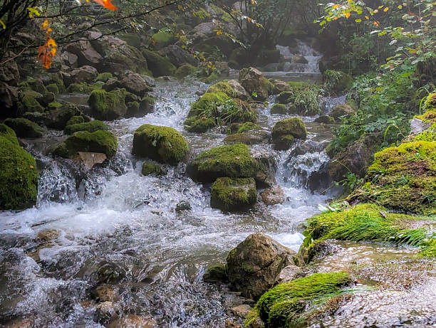 istock Mountain river and waterfall in the forest 2235304135