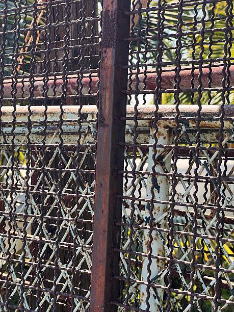 iron fence in the garden